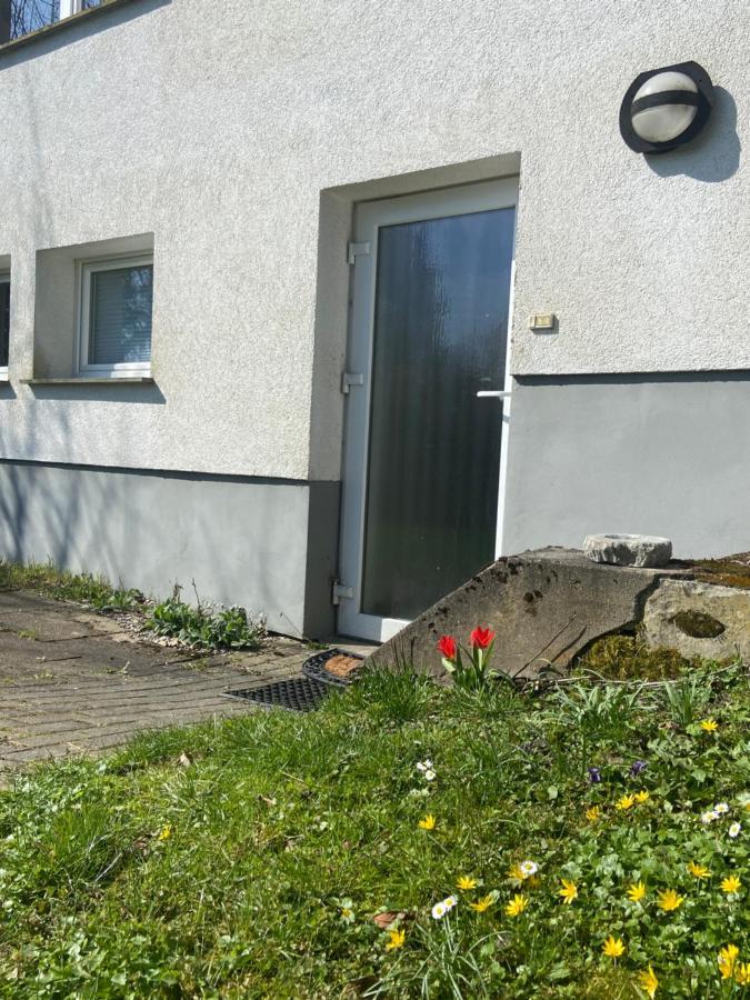 Entspannung Im Gruenen Horn-Bad Meinberg Eksteriør bilde